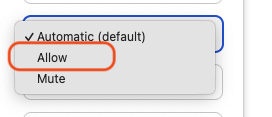 Browser page settings